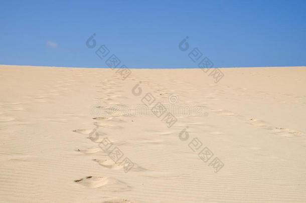 沙沙丘采用国家的公园科拉莱霍,富埃特文图拉岛