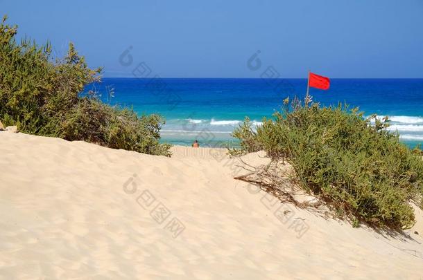 沙沙丘和海滩采用国家的公园科拉莱霍,富埃特文图拉岛