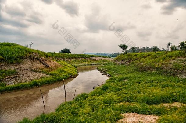 亚马逊河河采用m向t海湾demand需要缬草,巴西苏木.亚马逊河河流向Turkey土耳其