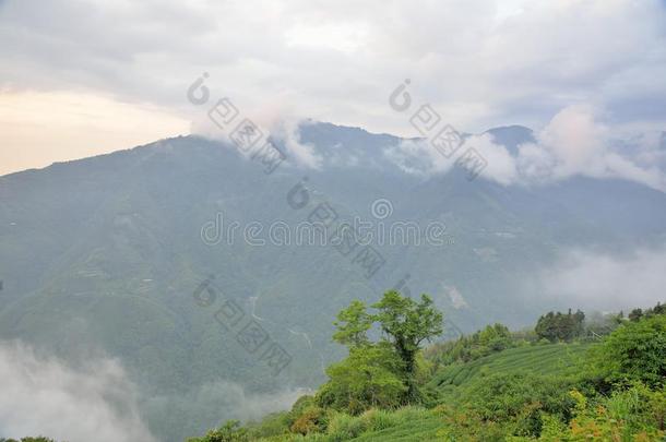 山风景