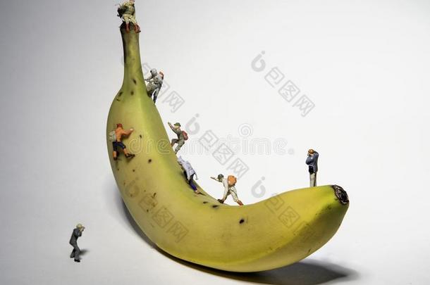 小型的人攀登的一香蕉和摄影者摄影师