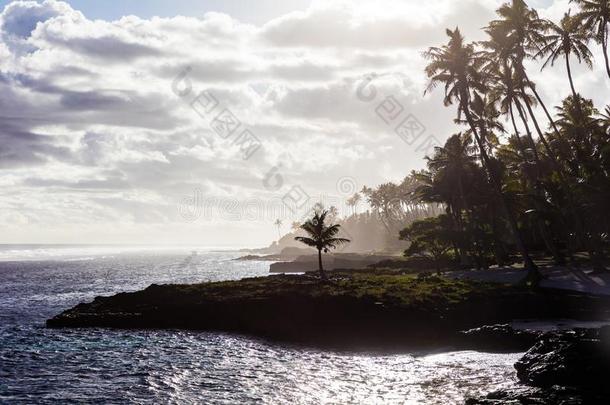 清楚的绿松石水和手掌树向热带的isl和萨摩亚群岛采用