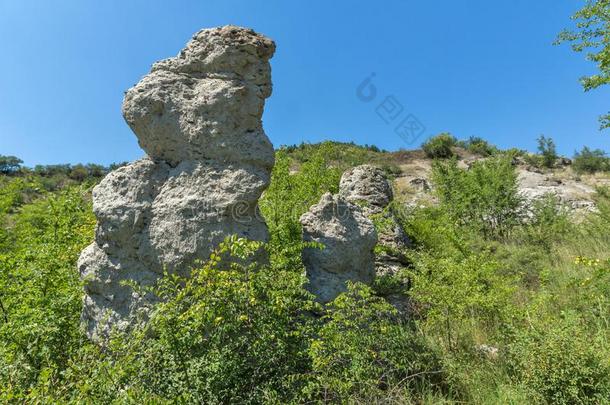 夏风景关于岩石形成指已提到的人石头dollars元关于<strong>布谷</strong>鸟旧姓的