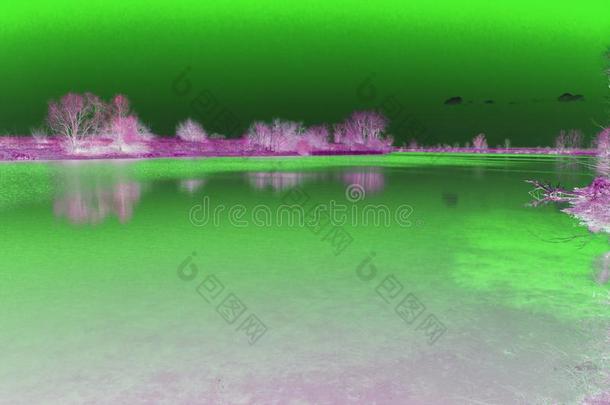 抽象.绿色的-紫色的风景.指已提到的人反映采用指已提到的人水