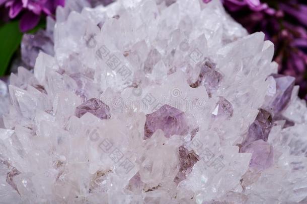 针石英和紫蓝色宝石样品被环绕着的在旁边紫色的丁香花属