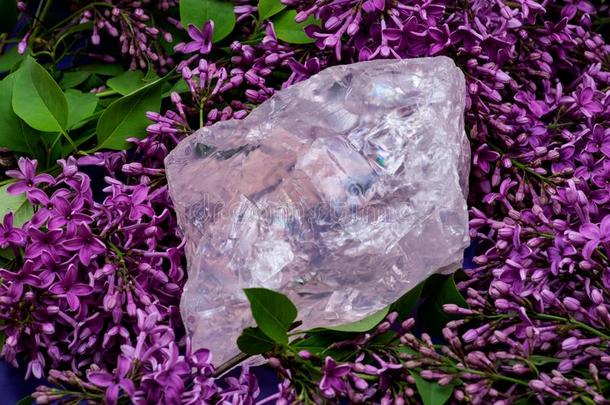 宝石等级粗糙的玫瑰石英厚厚的一块从马达加斯加岛被环绕着的在旁边