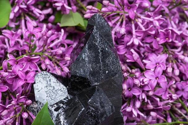 无面甲的头盔冒烟的石英和亚氯酸盐被环绕着的在旁边紫色的丁香花属flores花