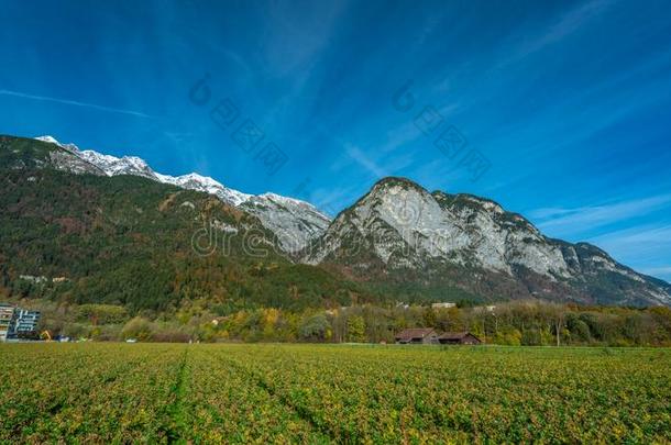 雪山风景观点风景