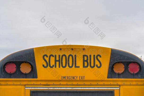 清楚的全景画饲<strong>养</strong>关于一黄色的学校公共汽车和sign一l家畜的<strong>肺</strong>脏一n