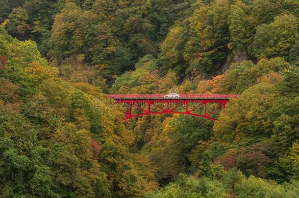 秋季节在M在<strong>su</strong>河山峡.