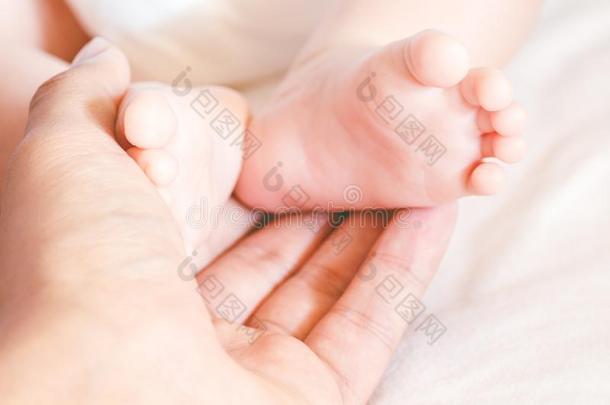 新生的婴儿脚向母亲手