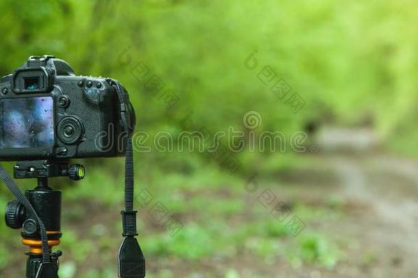 单眼数位相机照相机采用森林背景