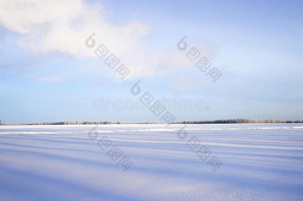 指已提到的人无人的冬风景关于雪和阴影向指已提到的人先知