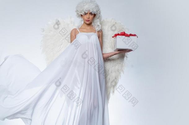 阵亡者白色的天使.浪漫的年幼的美好同样地一天使.天使机智