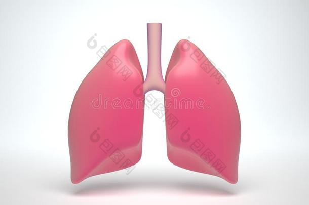 粉红色的肺解剖富有色彩的.