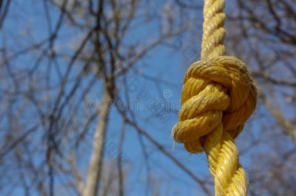 详述关于黄色的粗绳攀登的框架为孩子们和成年的人或动物采用