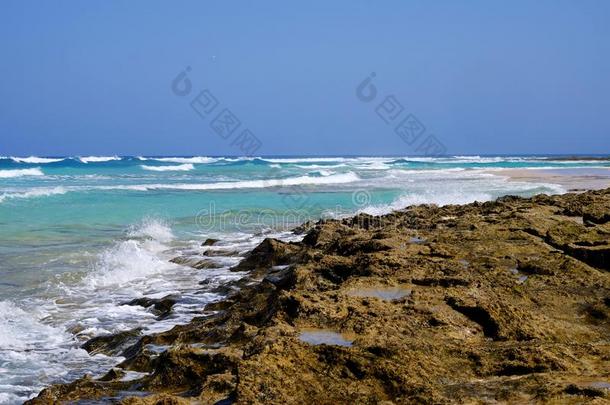 海滩科拉莱霍向富埃特文图拉岛,金丝雀岛