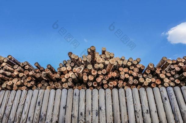 剁碎的木材,木材pile,fire木材-锯木厂