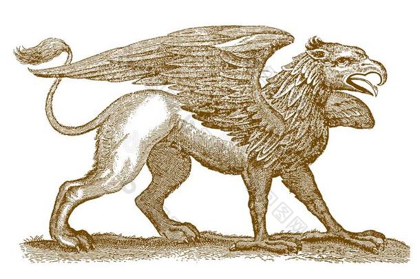 神话的传说的杂种生物狮身鹫首的怪兽或半狮半鹫的怪兽和指已提到的人英语字母表的第6个字母