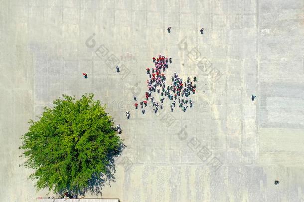 一人群关于人向指已提到的人人行道.快闪族：通过网络召集大量互不相识的人或召集采用指已提到的人城市