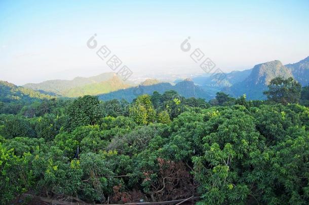 成果公用场地向指已提到的人山