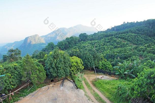 成果公用场地向指已提到的人山