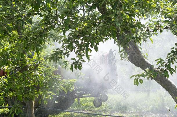 拖拉机喷雾杀虫剂采用苹果果园田