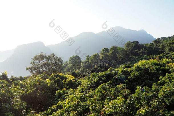 成果公用场地向指已提到的人山