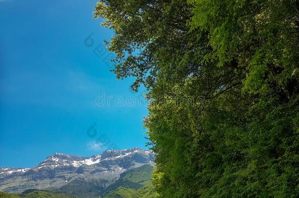 春季采用mounta采用佐美尔卡绿色的小山蓝色天,村民边缘