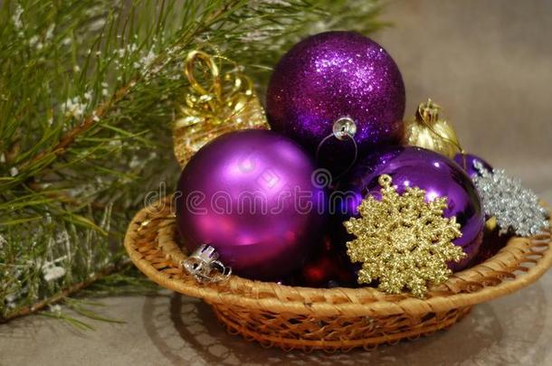 圣诞节仍生活.紫色的杂乱和松树树枝
