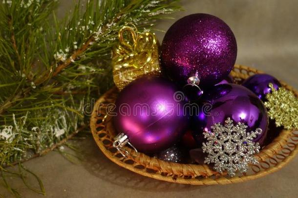 圣诞节仍生活.紫色的杂乱和松树树枝