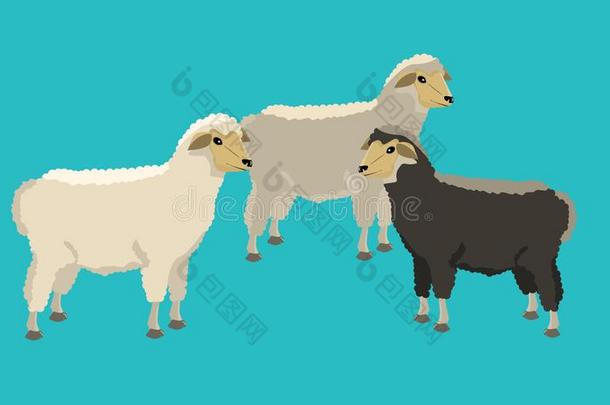 组关于黑的和白色的绵羊和固体的和平的颜色设计