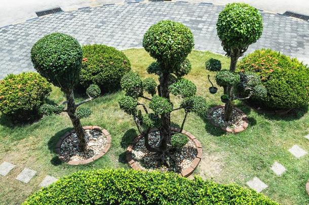 一装饰的花园关于所以树采用各种各样的情况和草地