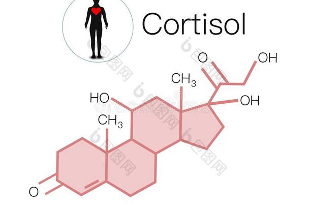 强调荷尔蒙皮质醇超级的质量抽象的商业照片