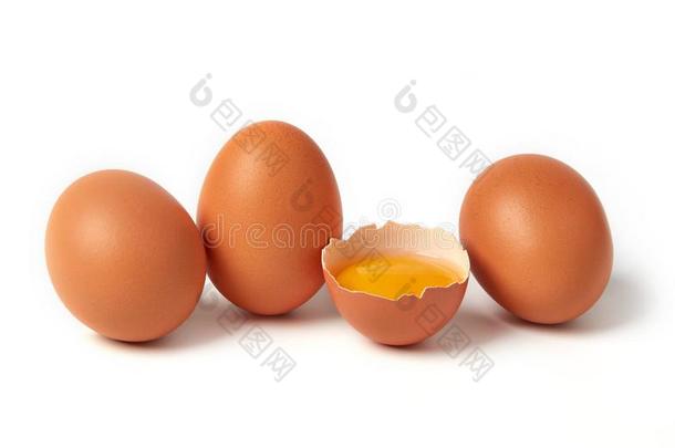 组关于卵