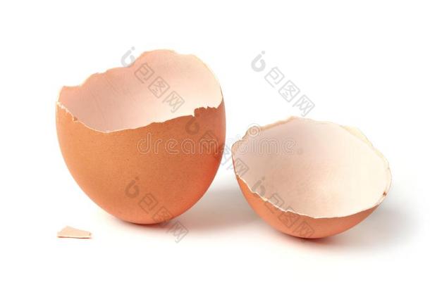 鸡蛋壳向白色的