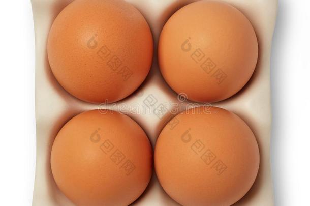 棕色的卵向白色的