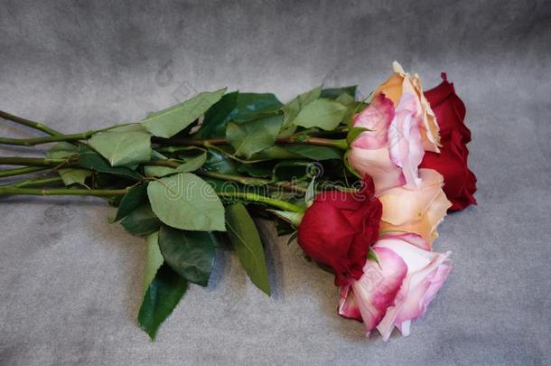 花束关于红色的,粉红色的和白色的玫瑰.祝贺