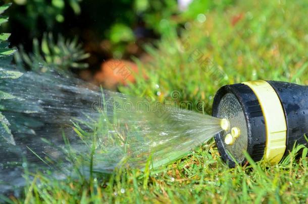 软管管子洒水器洒水花园草地和花床