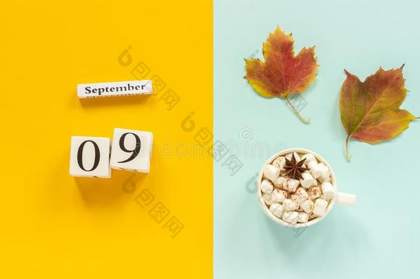 秋作品.木制的日历九月9,杯子关于可可winter冬天