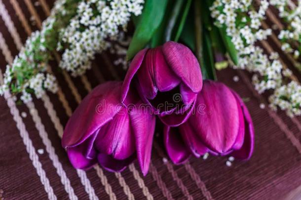 仍生活关于紫色的郁金香和绣线菊类的植物带叶小枝