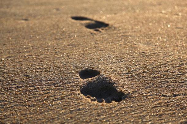 两个孤独的脚印采用指已提到的人完美的金色的沙海滩