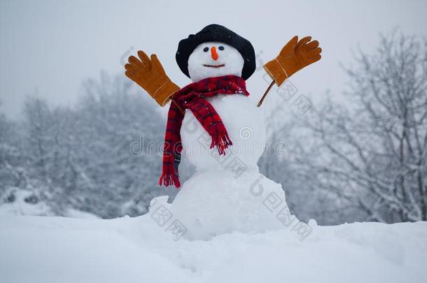 雪男人.雪男人.雪男人隔离的向雪背景.雪男人