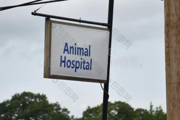 动物医院兽医关心