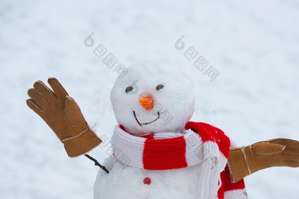 漂亮的雪人采用帽子和围巾向下雪的田.雪人隔离的英语字母表的第15个字母