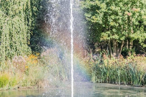 美丽的彩虹反射的采用指已提到的人水关于一fount一采用一nd苏罗