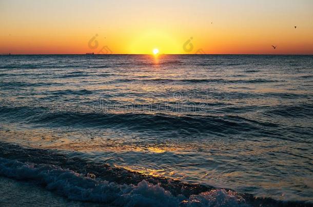 美丽的太阳上升和海波起泡沫特写镜头在s和y海滩机智