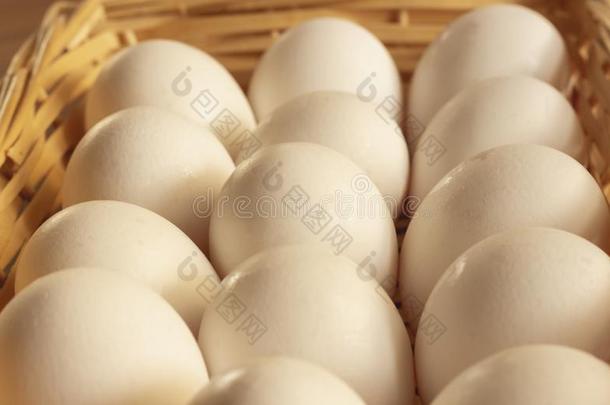新鲜的白色的鸡卵新近精选的