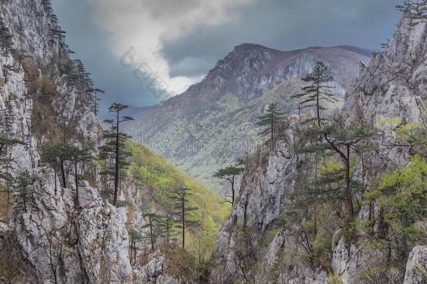 我已经跟你说过了山峡,罗马尼亚