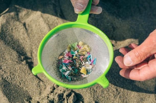 滤锅和塑料微粒向指已提到的人海滩